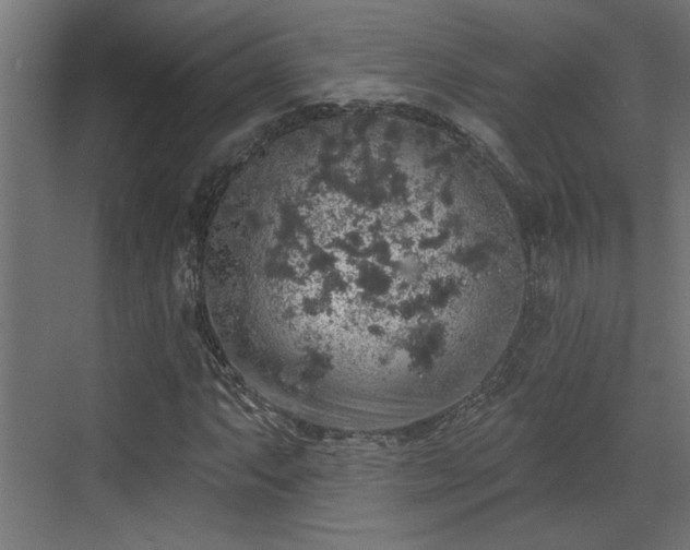 X0000072511063200607211351