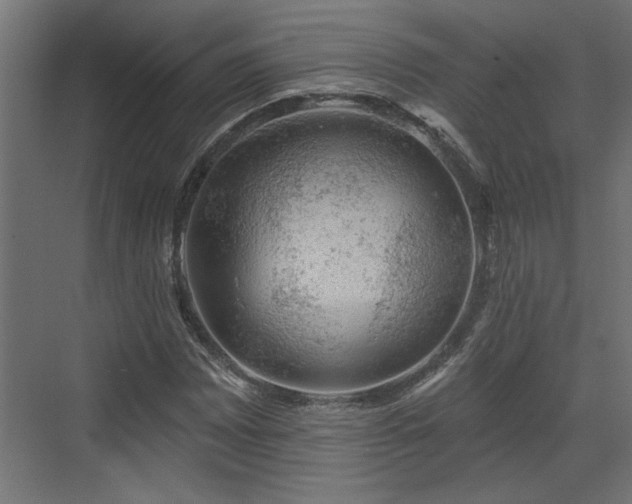 X0000072511065200607211351