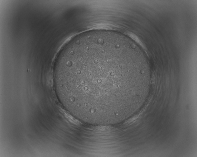 X0000072511067200607211351