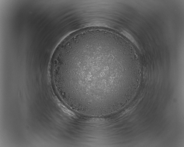 X0000072511068200607211351