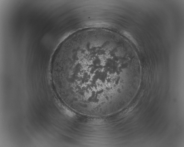 X0000072511071200607211351