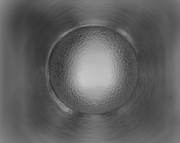 X0000072511072200607211351