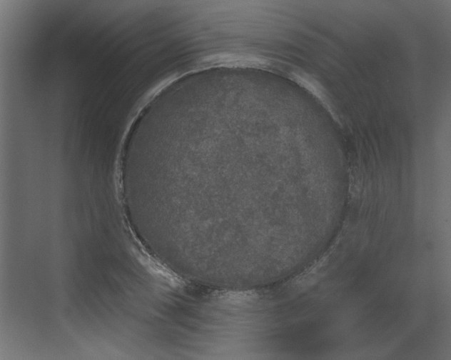 X0000072511074200607211351