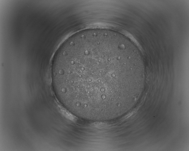 X0000072511075200607211351