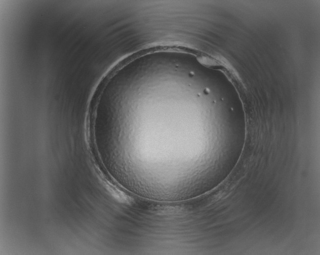 X0000072511076200607211351