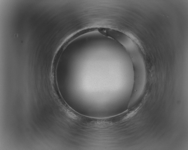 X0000072511077200607211351