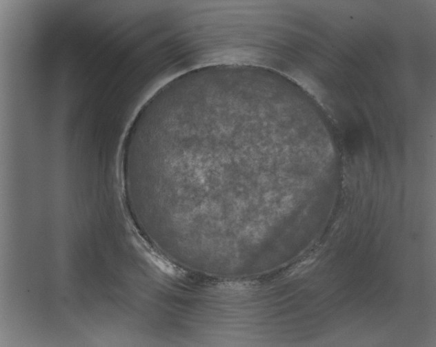 X0000072511078200607211351