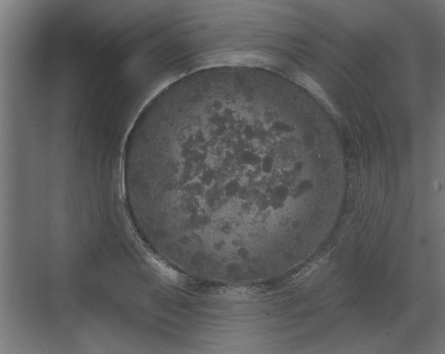 X0000072511079200607211351