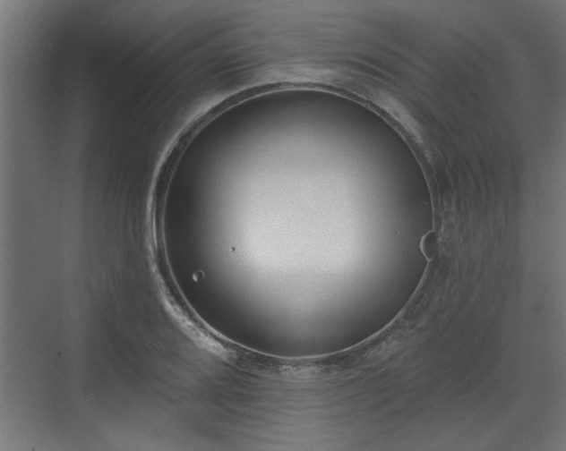 X0000072511080200607211351