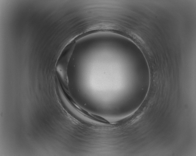 X0000072511081200607211351