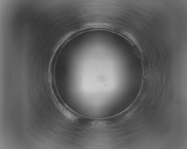 X0000072511082200607211351