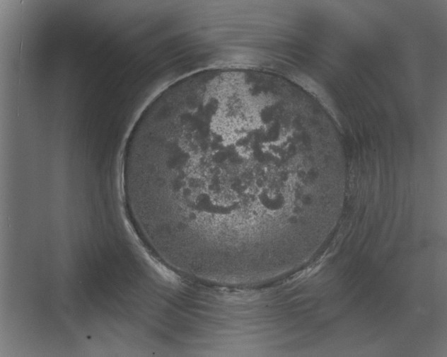 X0000072511083200607211351