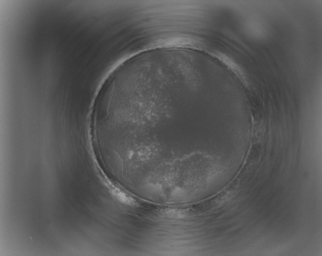 X0000072511086200607211351