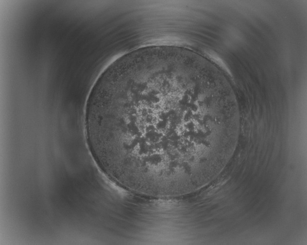 X0000072511087200607211351