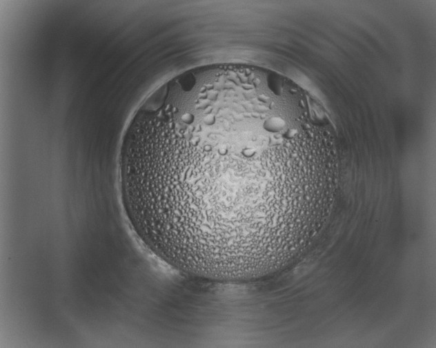 X0000072511088200607211351