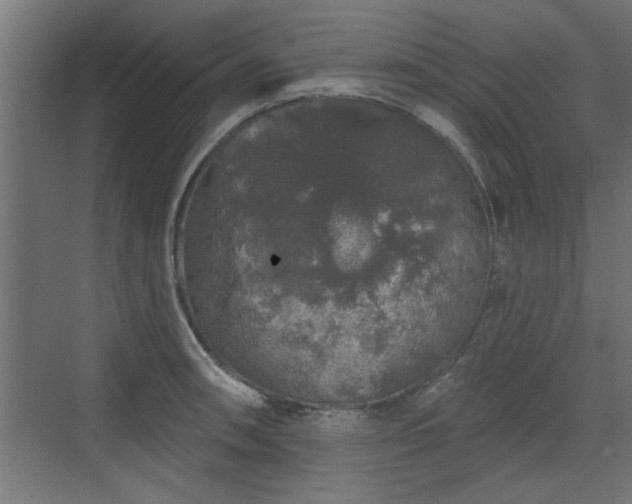 X0000072511090200607211351