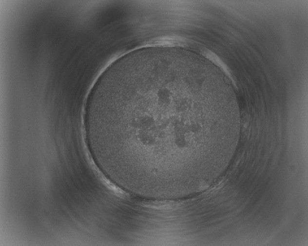 X0000072511091200607211351