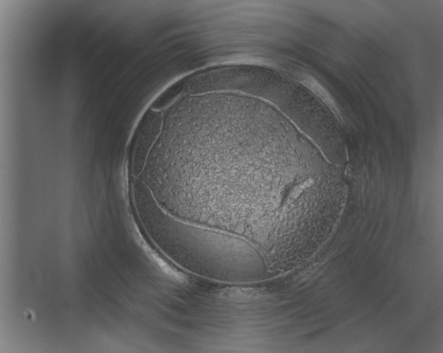 X0000072511092200607211351