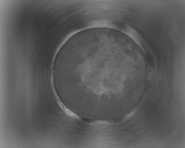 X0000072511094200607211351