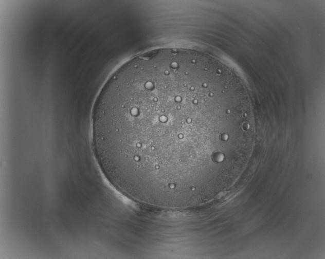 X0000072511095200607211351