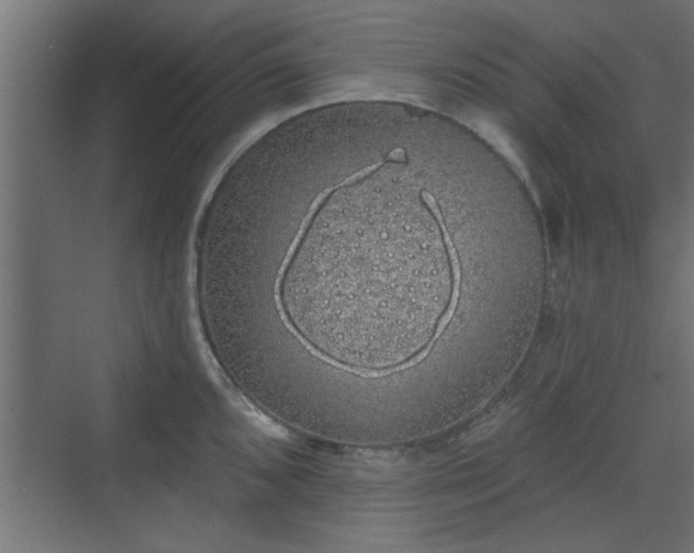 X0000072511096200607211351