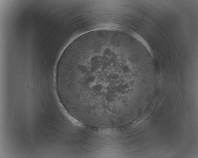 X0000072511099200607211351