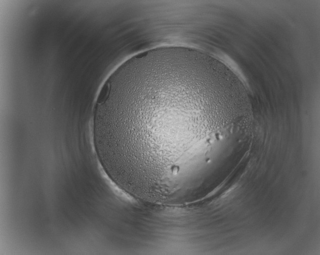 X0000072511100200607211351