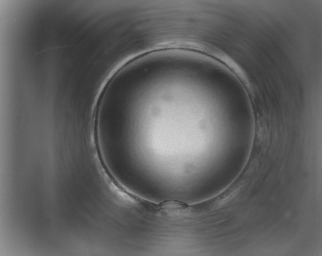 X0000072511102200607211351