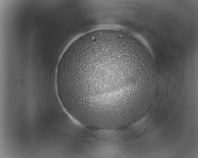 X0000072511103200607211351