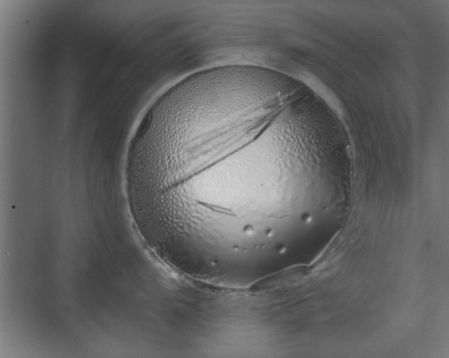 X0000072511104200607211351