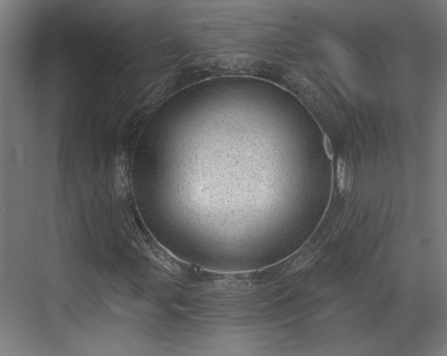 X0000072511107200607211350