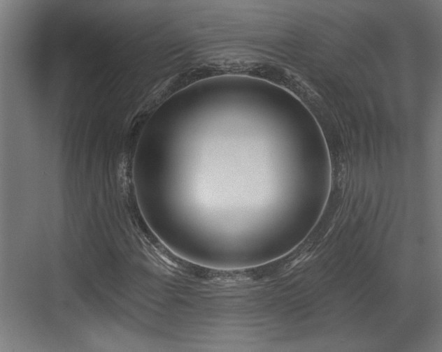 X0000072511108200607211350