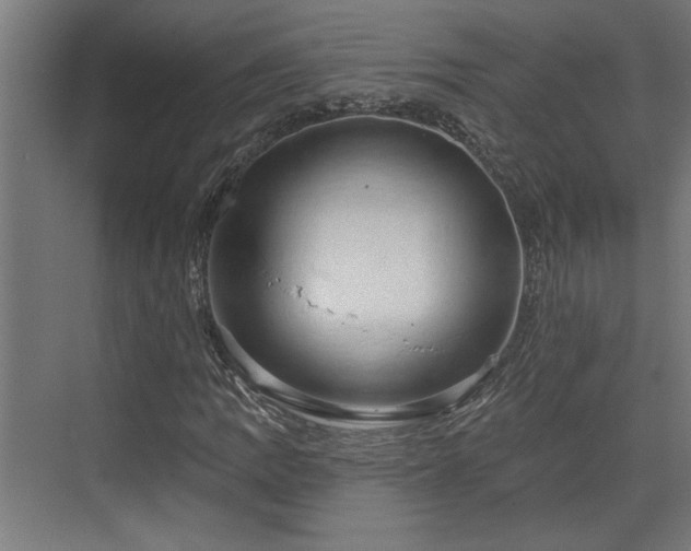 X0000072511109200607211350