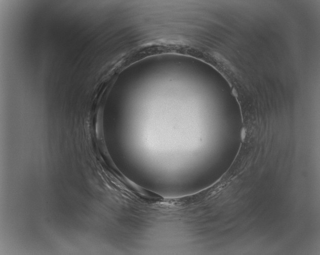 X0000072511110200607211350