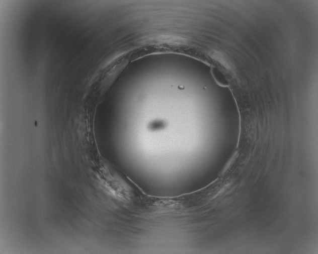 X0000072511112200607211350