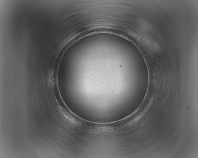 X0000072511113200607211350