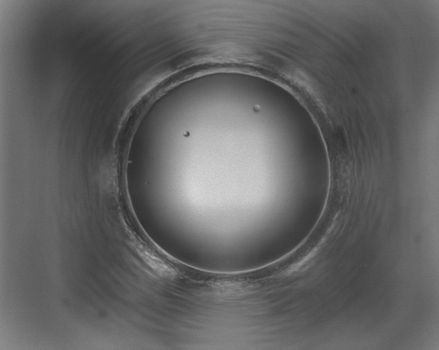 X0000072511114200607211350