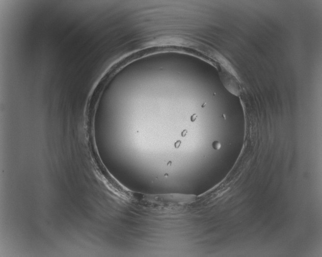 X0000072511116200607211350