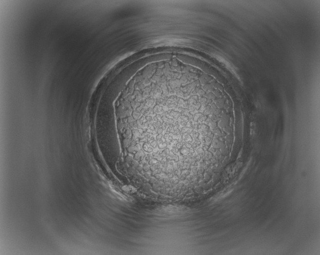 X0000072511117200607211350