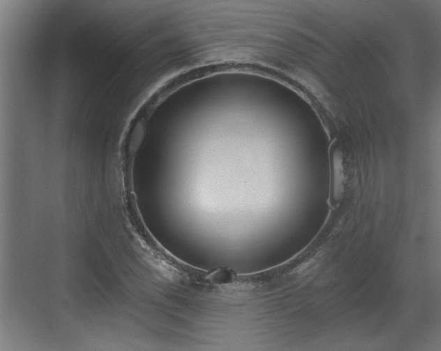 X0000072511118200607211350