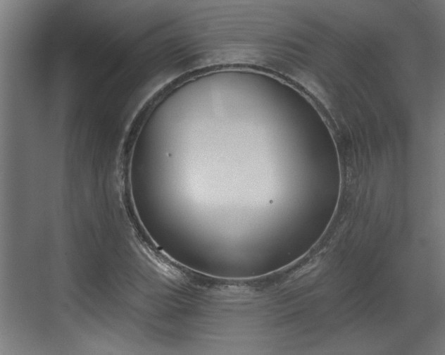 X0000072511119200607211350