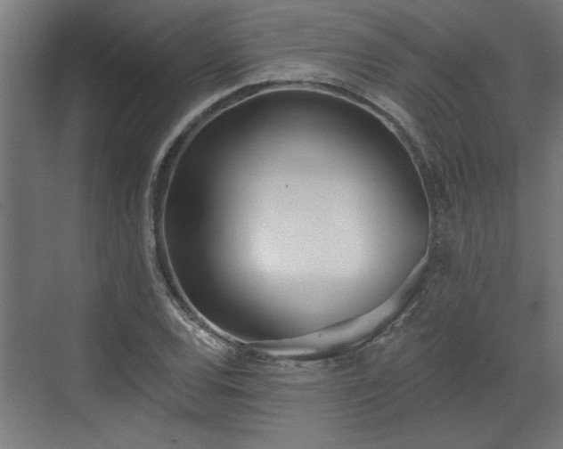 X0000072511120200607211350