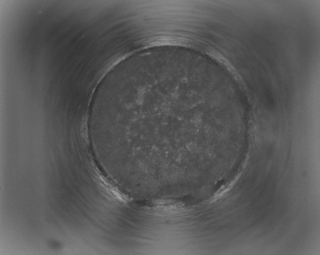 X0000072511121200607211350