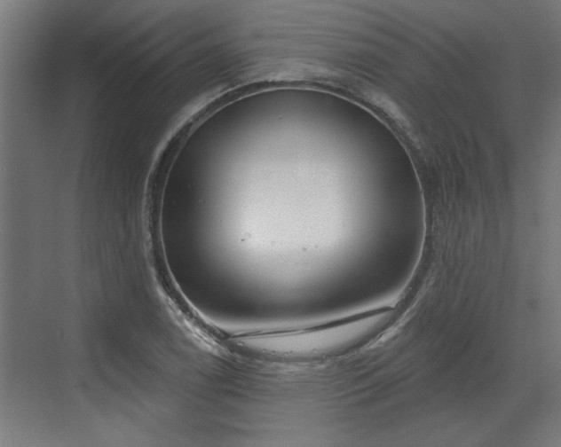 X0000072511122200607211350