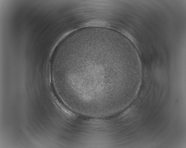 X0000072511123200607211350