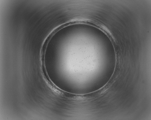 X0000072511124200607211350