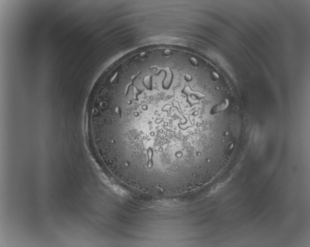 X0000072511125200607211350