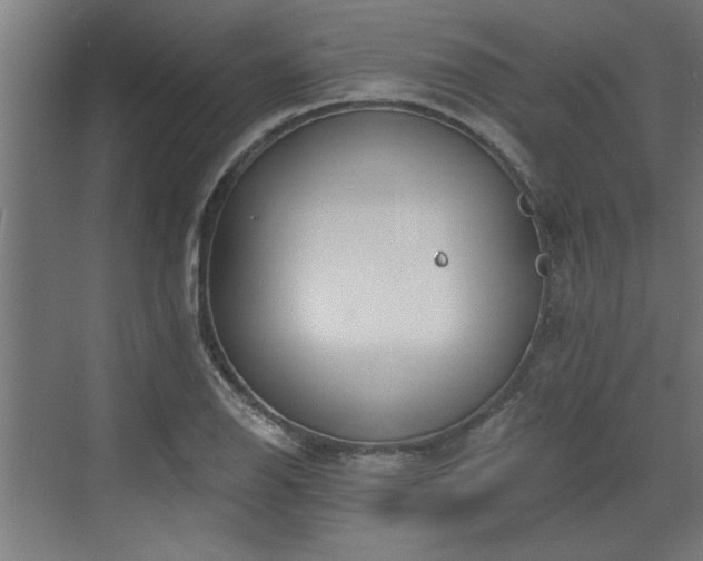 X0000072511126200607211350