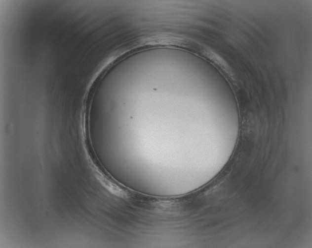 X0000072511130200607211350