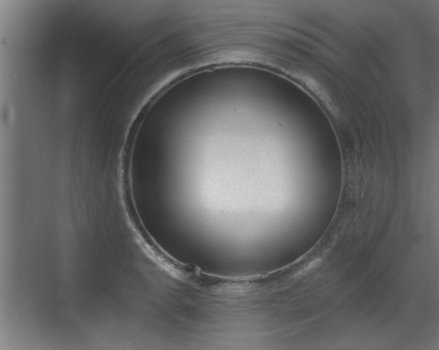 X0000072511134200607211350